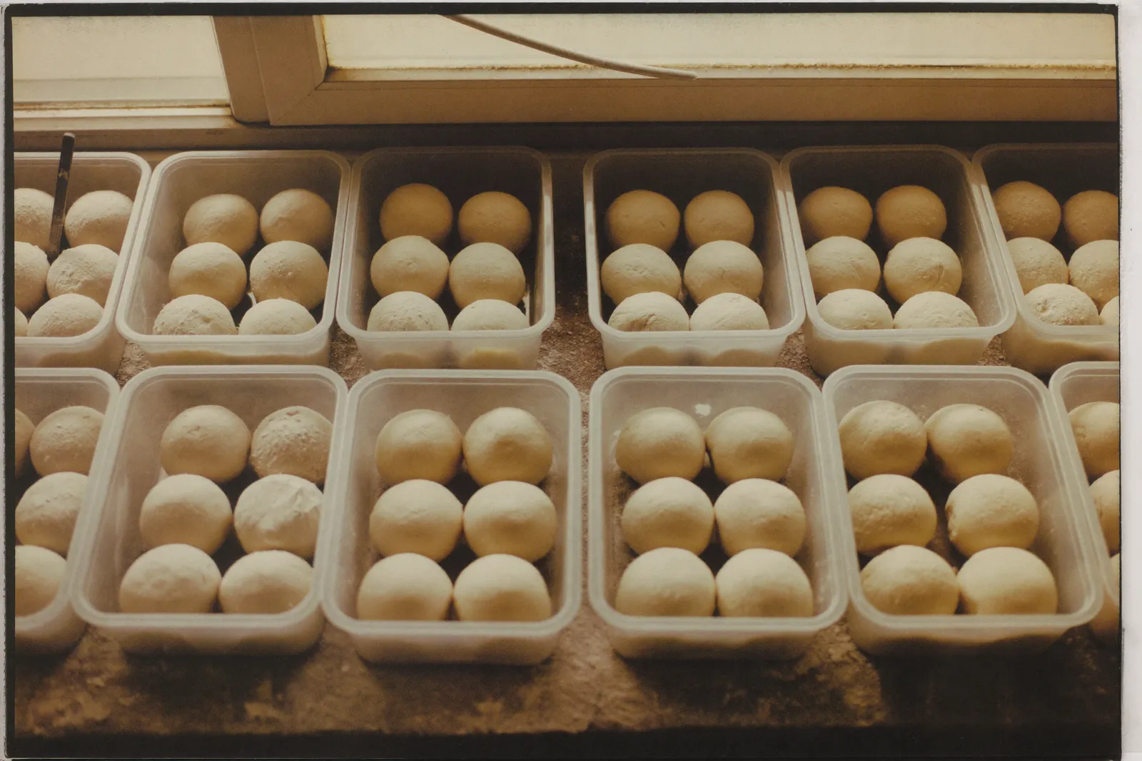 Rows of dough balls proofing in clear containers on a flour-dusted counter