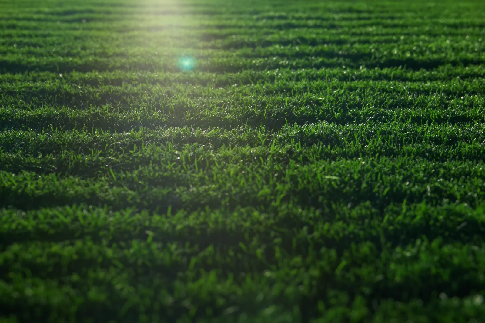 A low macro view of perfectly uniform emerald artificial turf blades in late afternoon sun