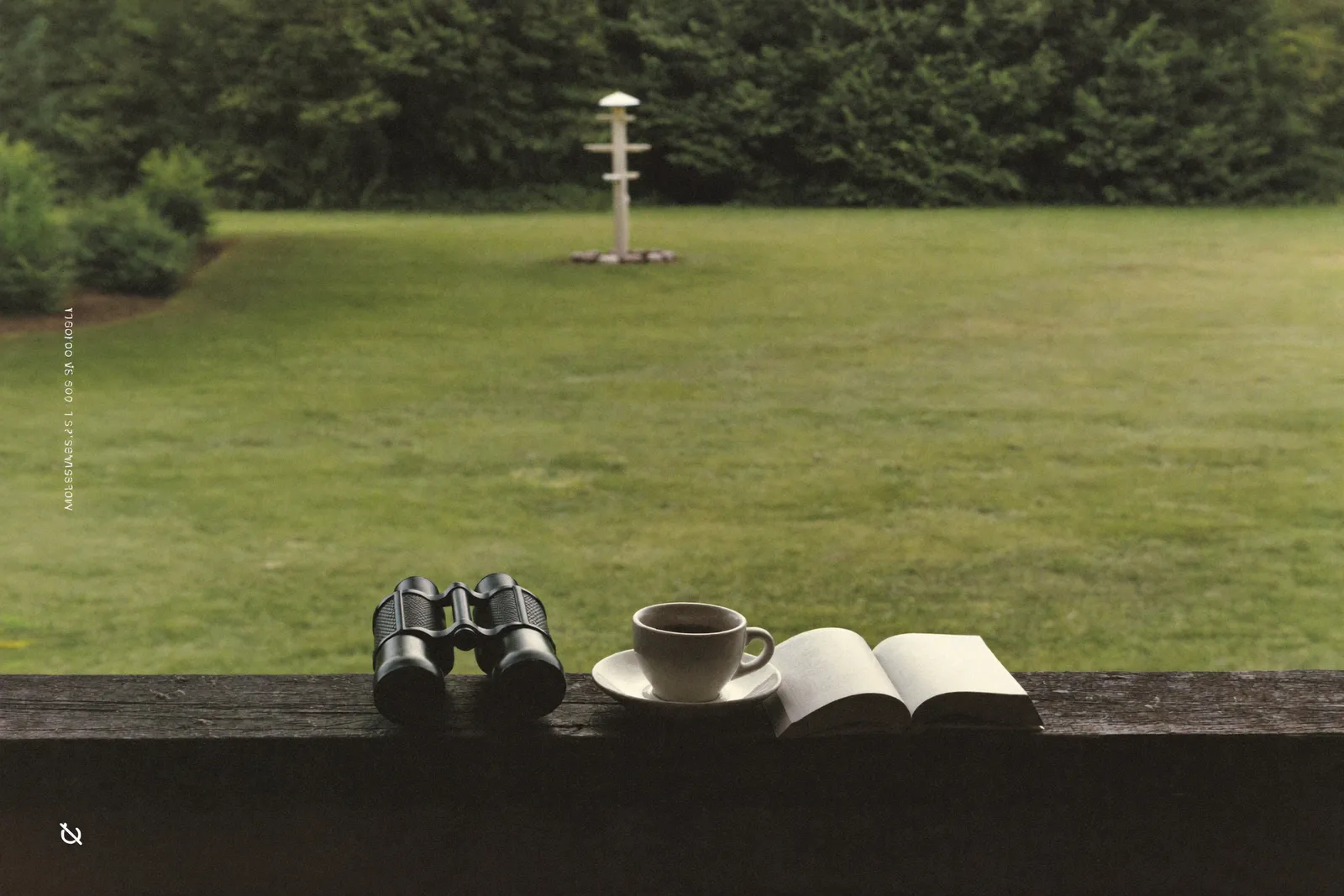 A coffee cup and binoculars on a porch rail facing a quiet yard in morning light